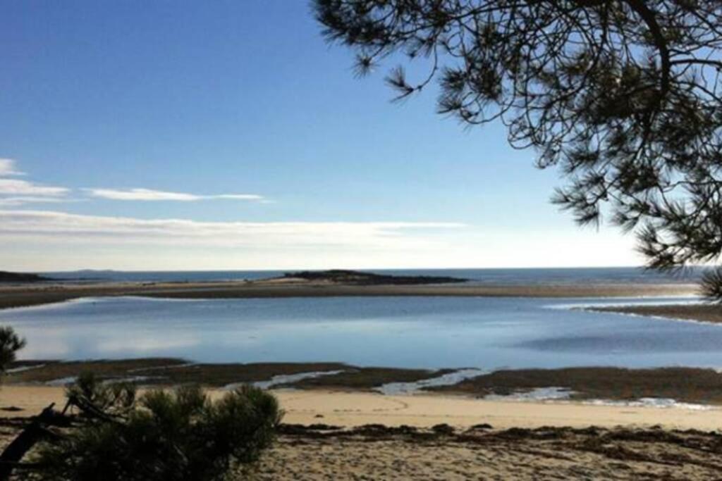 Maison Avec Jardin Clos. Animaux Acceptes - Wifi - Proche Plages De La Trinite Sur Mer Et Carnac Bagian luar foto