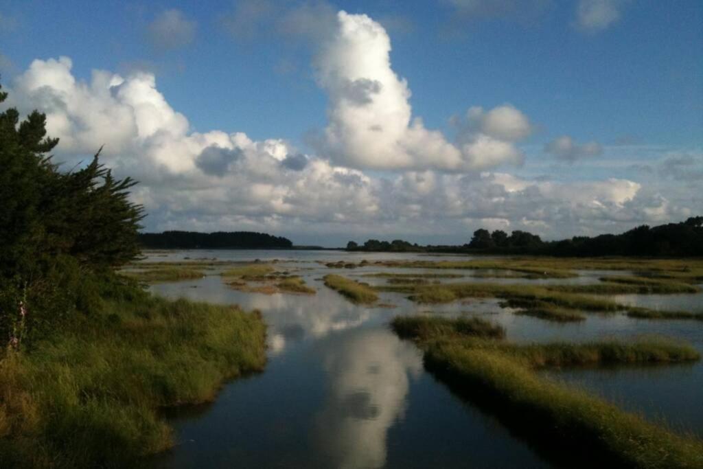 Maison Avec Jardin Clos. Animaux Acceptes - Wifi - Proche Plages De La Trinite Sur Mer Et Carnac Bagian luar foto